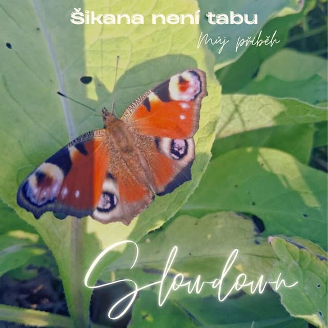 Šikana není tabu | Můj příběh